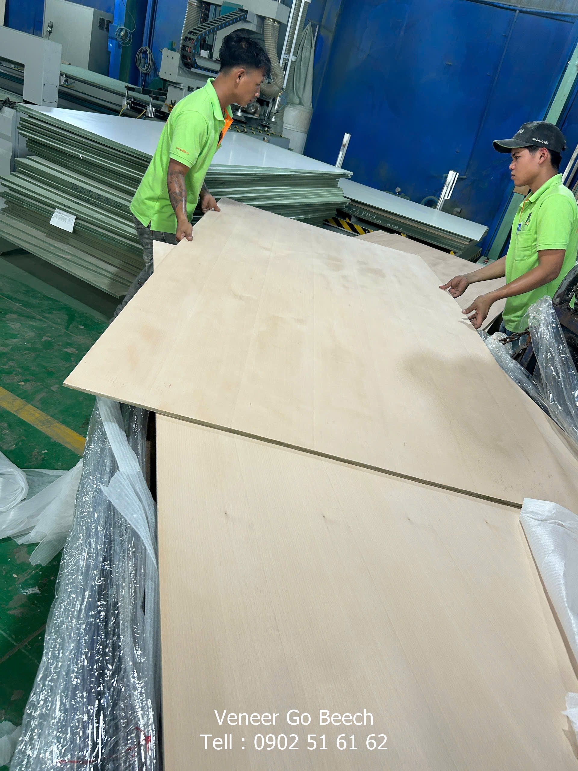 Veneer sọc gỗ beech tự nhiên - Cốt ván Plywood