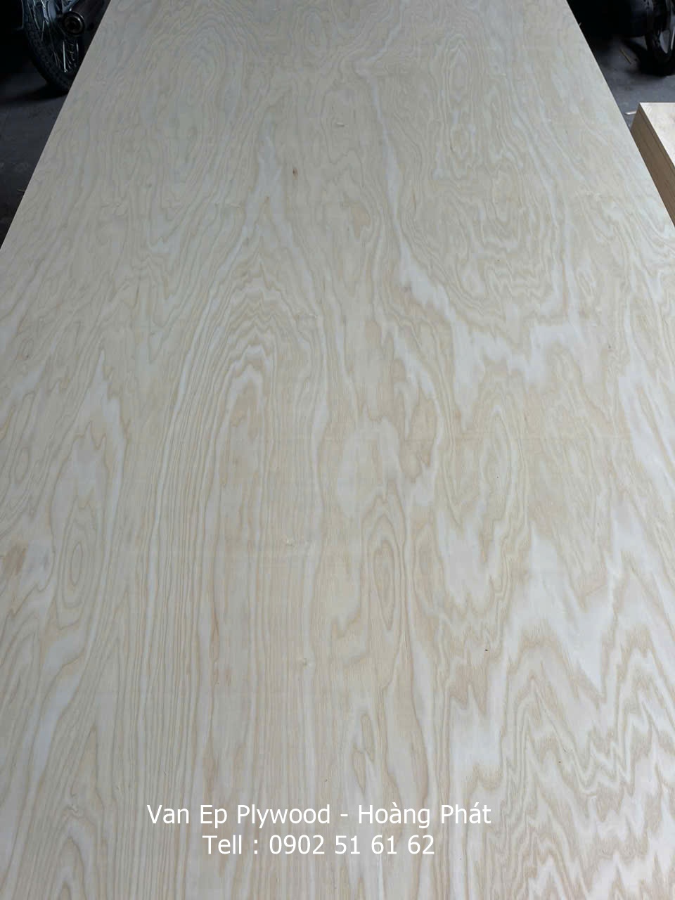 Mặt veneer gỗ tần bì nguyên tấm : 1220 x 2440mm