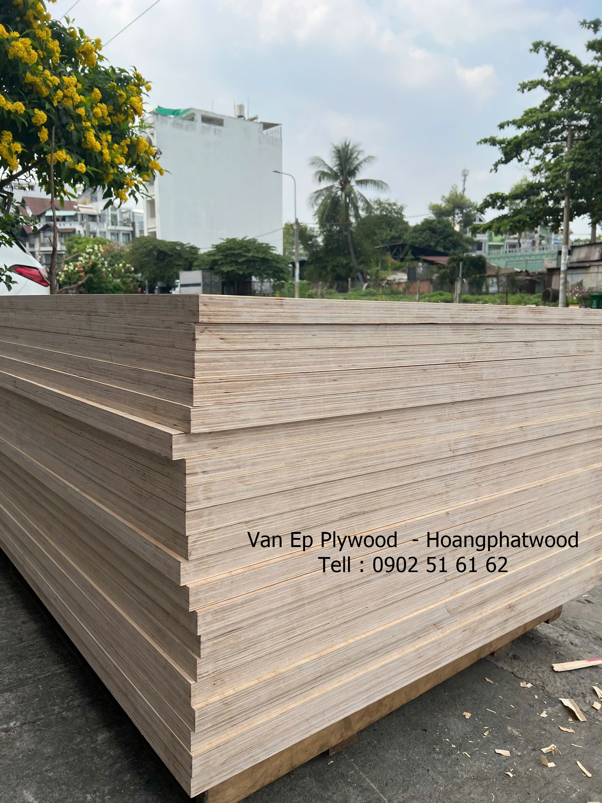 Ván plywood xẻ thanh làm sàn xe