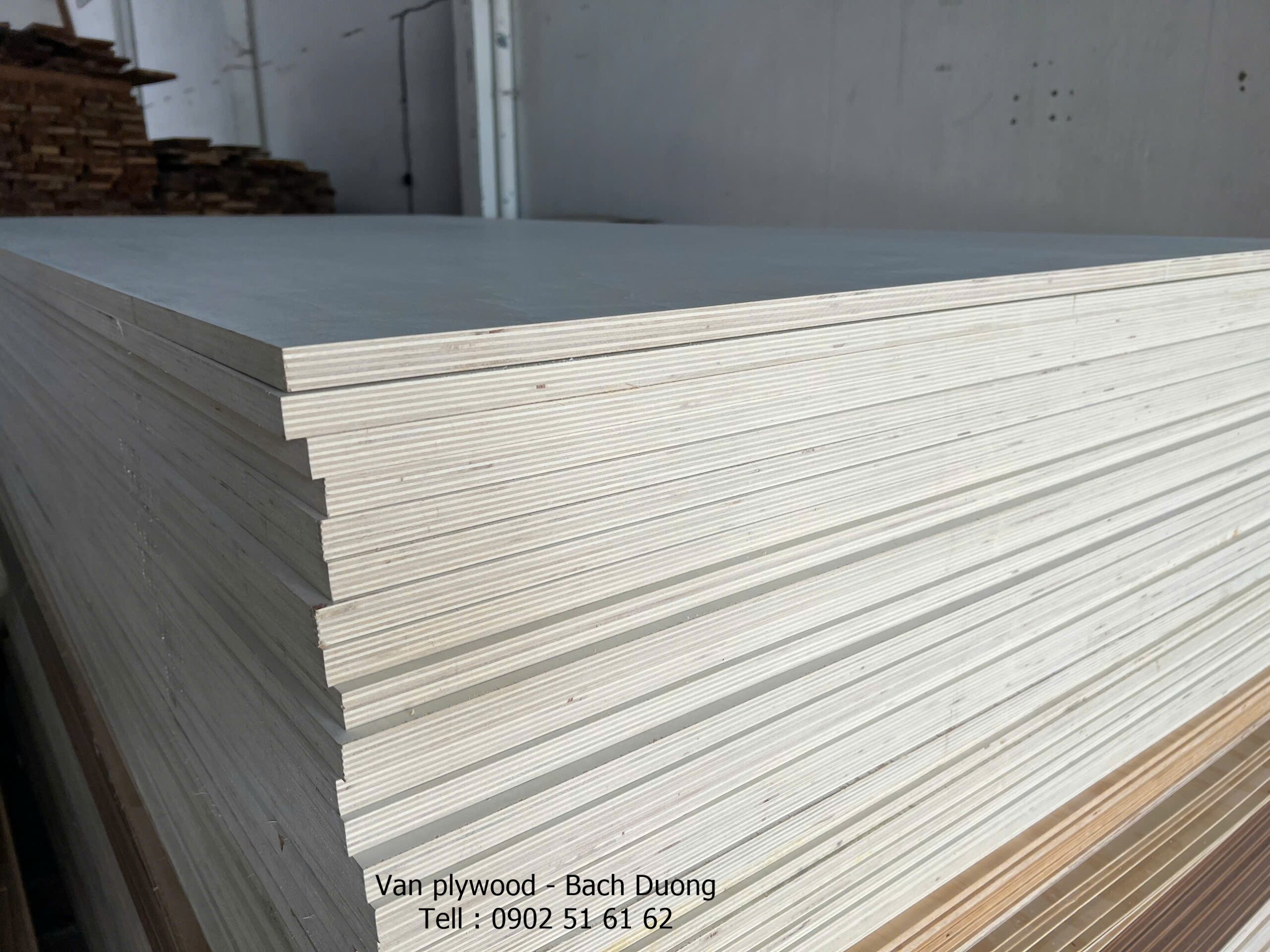Ván plywood cốt gỗ bạch dương -poplar