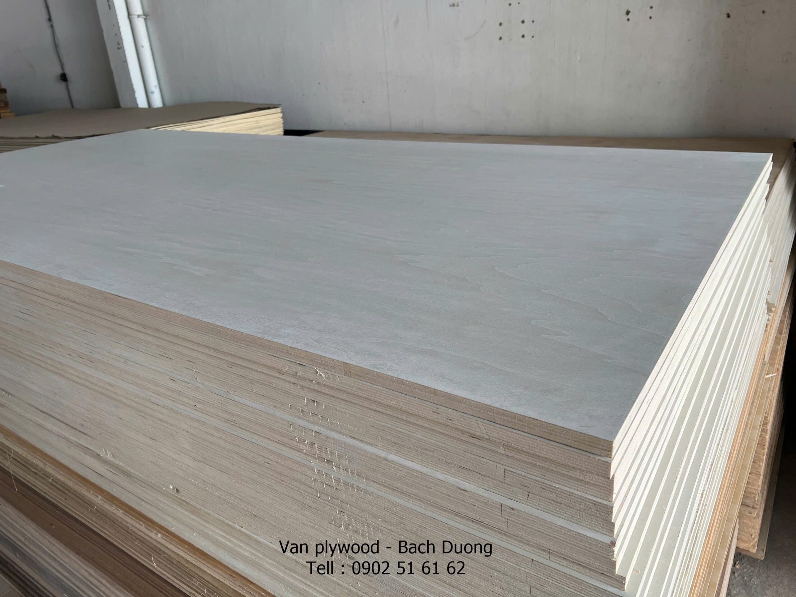 Sản phẩm : Ván ép gỗ Bạch dương làm nội thất